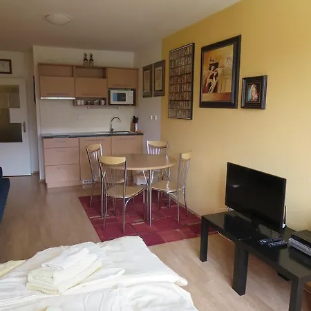 Apartman Ramzova 27 מראה חיצוני תמונה